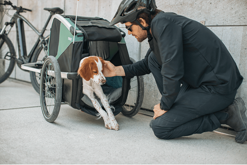 Thule Bexey L Hundcykelvagn