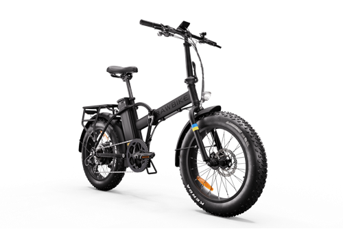 Rawbike Elmoped 750W Onyx