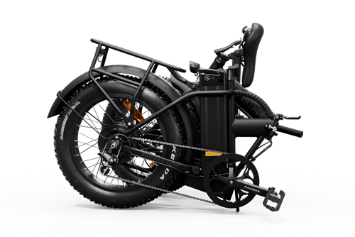 Rawbike Elmoped 750W Onyx