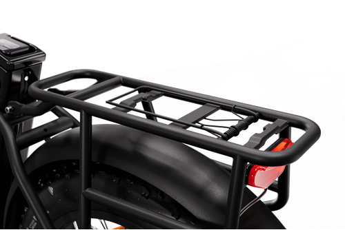 Rawbike Elmoped 750W Onyx