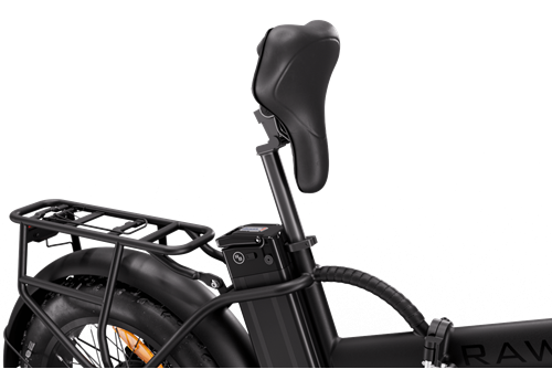 Rawbike Elmoped 750W Onyx