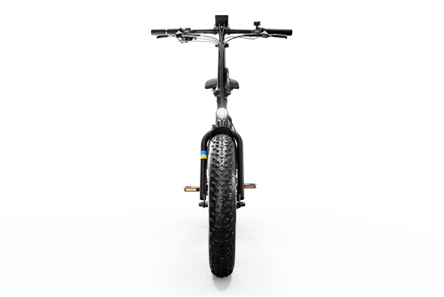 Rawbike Elmoped 750W Onyx