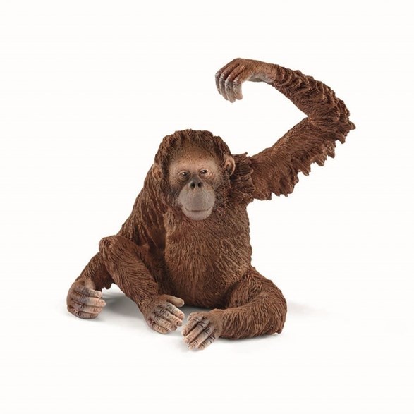 Schleich Orangutang, hona