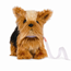 Our Generation Yorkshire Terrier