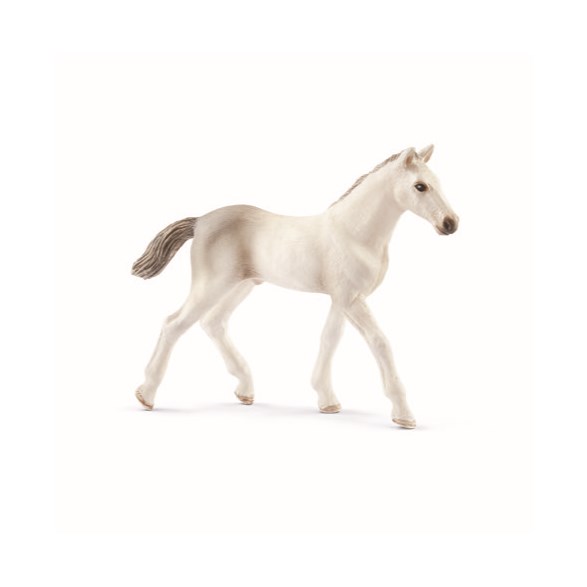 Holsteinerföl