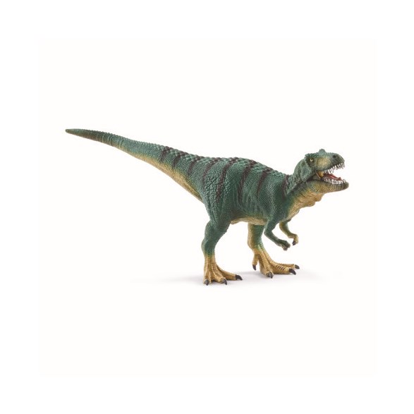 Tyrannosaurus Rex, Unge