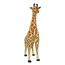 Mjukdjur giraff
