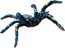 Bullyland Lekfigur, blue ornamental tarantula