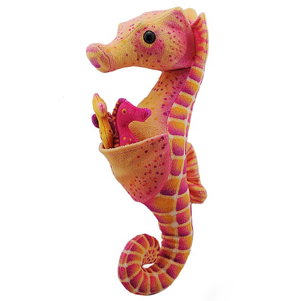 Wild republic seahorse w babies