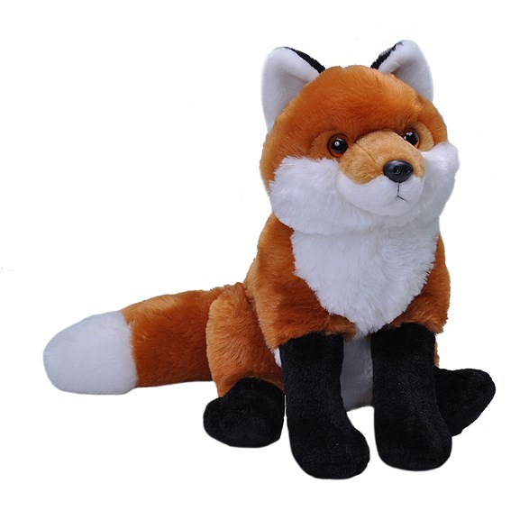 Wild republic red fox