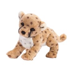 Chillin' cheetah cub