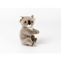 Koala, 16 cm