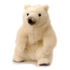 Isbjörn, liten