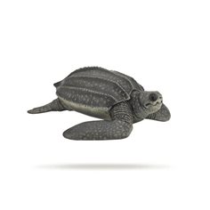 Papo Havslädersköldpadda