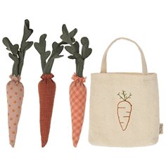 Carrots in shoppingbag