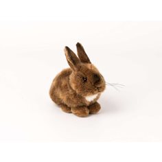Kösen Hare, liten