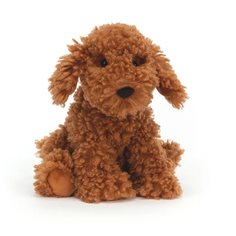 Cooper doodle dog
