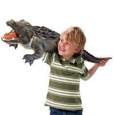 Handdocka, Amerikansk alligator