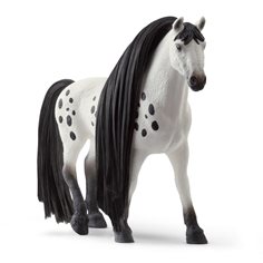 Knabstrupper stallion