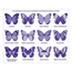 Shaped memory match butterflies