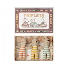 Triplets baby mice in match box