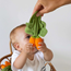 Oli & Carol Cathy the carrot mini doudou-teether