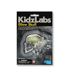4M KidzLabs glow scul
