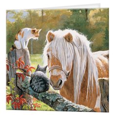 Deluxebase Ltd. Kort med kuvert 3D, häst & katter