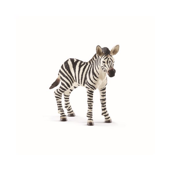 Zebraföl