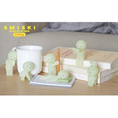 Sonny Angel & Smiski Smiski living