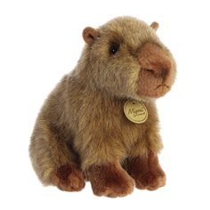 Aurora MiYoni Capybara