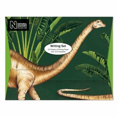 Museum galleries Brevpapper diplodocus