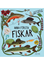 Tukan Mina första fiskar