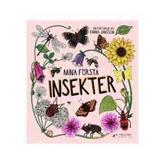 Mina första insekter