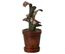 Maileg Flower pot with plant