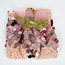 Pellianni Cape rose