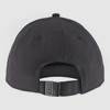 POLAR CAP 2