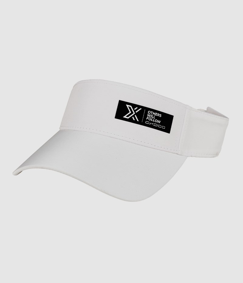 ARGO VISOR