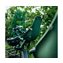 Mosu Green/Bincho Black