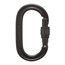 Black Diamond Skruvkarbin Oval Keylock Screwgate Karabiner Svart