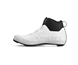 Fizik Cykelskoer Vinter Tempo Artica R5 Gtx Sort/Hvid