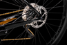 Active Jäykkäperäinen maastopyörä 2022 Fly Carbon 610 29 Musta/Kulta