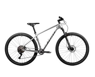 ACTIVE Hardtail MTB 2022 Fly Carbon 210 29 SILVER