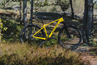 Active Hardtail MTB Fly Carbon 110 29 Gul
