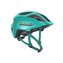 Soft Teal Green