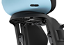 Thule Yepp Nexxt 2 Maxi Frame Mount Blue