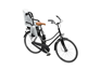 Thule Lastenistuin RideAlong 2 Runkokiinnitys Light Gray