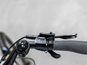 Trek Elsykkel Dame Verve+ 2 Lowstep 500wh Blue Sage
