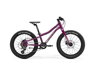 Lasten polkupyörä Merida Matts J 20+ Lila