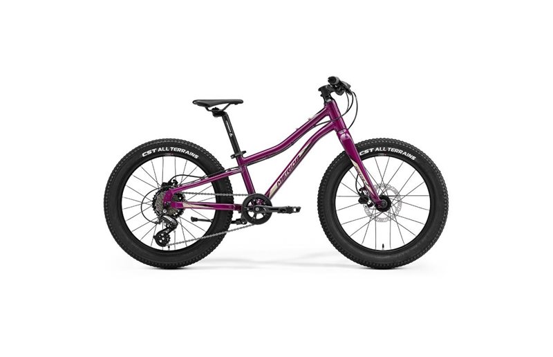 Merida Børnecykel Matts J 20+ lilla